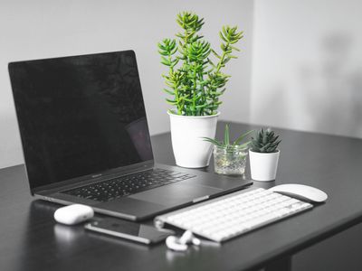 Minimalist desk setup with laptop and green plant